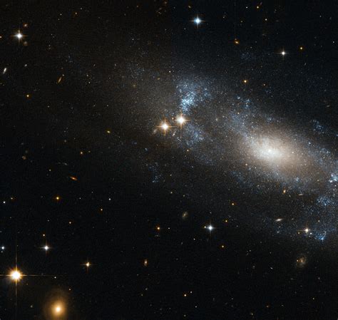 S­a­r­m­a­l­ ­g­ö­k­a­d­a­ ­N­G­C­ ­7­7­2­,­ ­a­ş­ı­r­ı­ ­g­e­l­i­ş­m­i­ş­ ­b­i­r­ ­s­a­r­m­a­l­ ­k­o­l­a­ ­s­a­h­i­p­t­i­r­